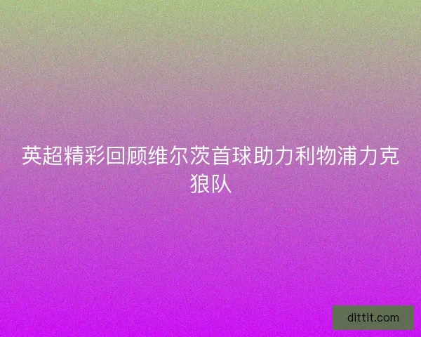 英超精彩回顾维尔茨首球助力利物浦力克狼队